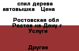 спил дерева    автовышка › Цена ­ 1 000 - Ростовская обл., Ростов-на-Дону г. Услуги » Другие   